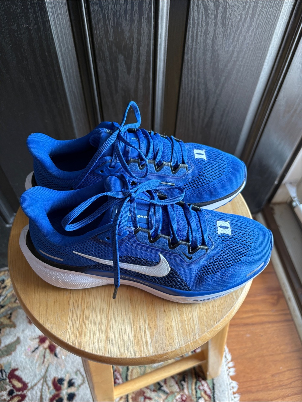 Nike Pegasus 41 Duke Sneakers